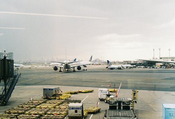 Faire de la musculation en étant végétarien/vegan : comment s'y prendre ?